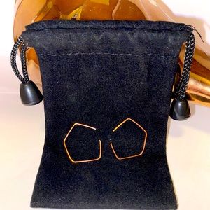 1” hexagon wire threader earrings